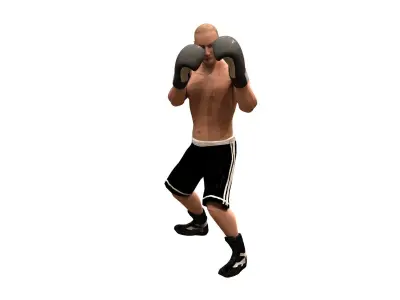 boxer rig Low-poly 3D model