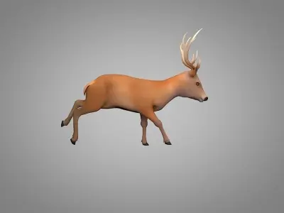 Deer or Doe Low-poly 3D model