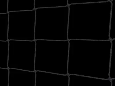 Net For Sport 3D model