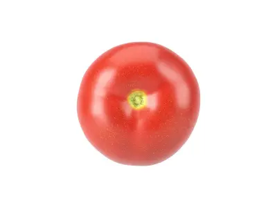 Photorealistic Tomato 3D Scan 3D model