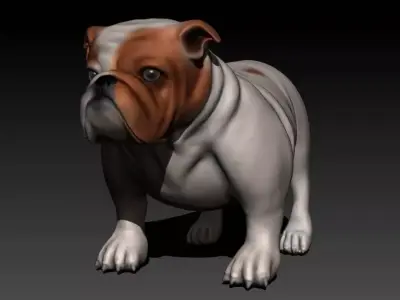 English Bulldog Low-poly 3D model