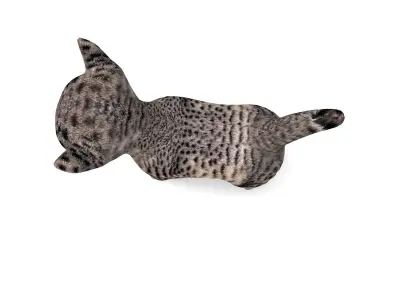 3D Cartoon Cat Animated Model  Low-poly 3D model