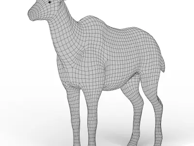Kudu Base Mesh Low-poly 3D model