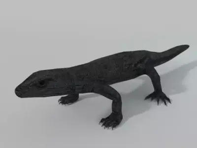Komodo Dragon Low-poly 3D model
