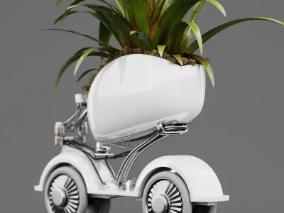 Indoor plant Flower 01 3D model