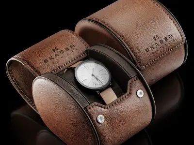 Watch Skagen SKW6216 3D model