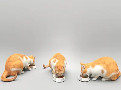 Cat with food bowl 37 Low-poly 3D model