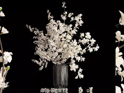 White sakura bouquet cherry blossoms Magnolia 340 3D model