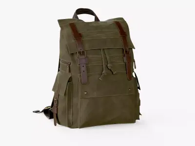 Backpack Iceland Green Low-poly 3D model