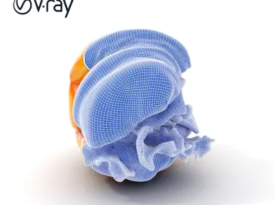 Croissant Sandwich D Model Pack Low-poly 3D model