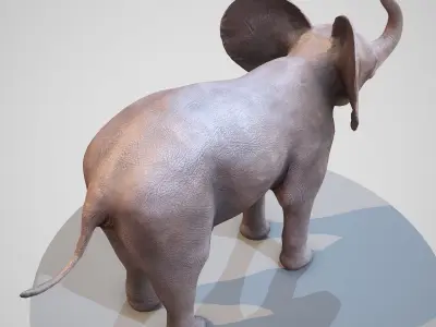 Rigged Baby Elephant Low-poly 3D model