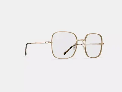 Aniyah Eyeglasses in Polished Gold 3D model