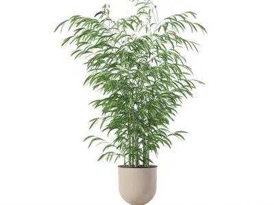 Bamboo in modern flower pot 3D model