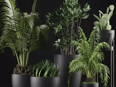 Plants Collection 24 3D model