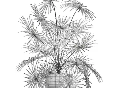 Decorative palm in a flowerpot 716 3D model