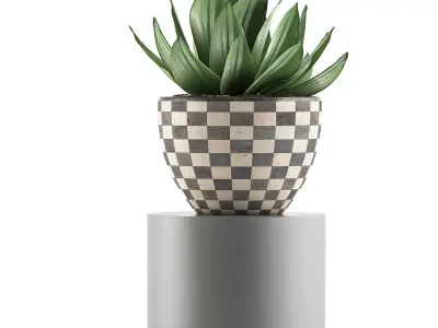 Plants Collection 118 3D model