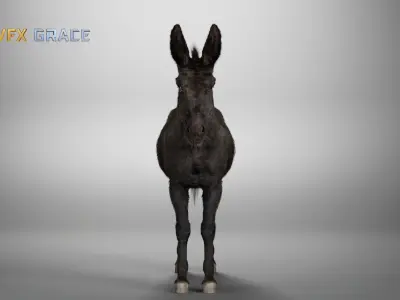 Donkey Winter  UE Character Asset 3D model