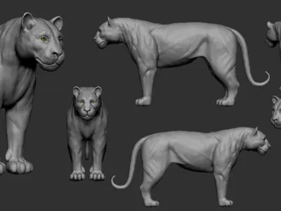 Tiger 3D model Low-poly 3D model buy
