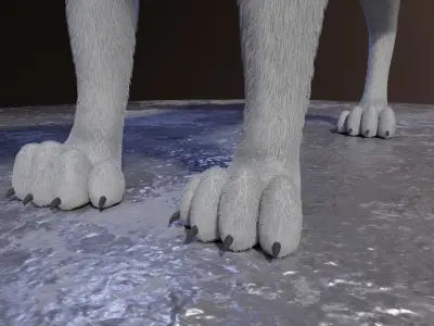 Ranky Wolf  3D model