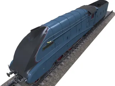 Mallard Train Low-poly 3D model