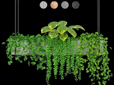 Indoor Hanging Plants - Set 05 and Set 06 3D model