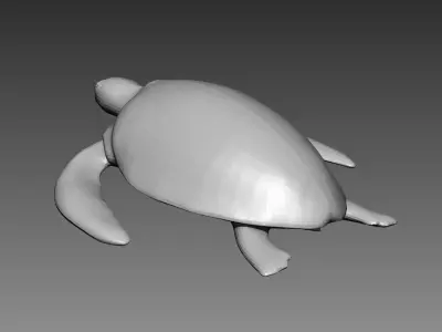 Turtle base mesh for Zbrush 3D model