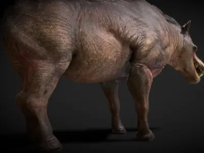 Daeodon Low-poly 3D model