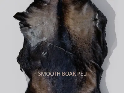 animal pelts volume one Unreal and Unity  Low-poly 3D model