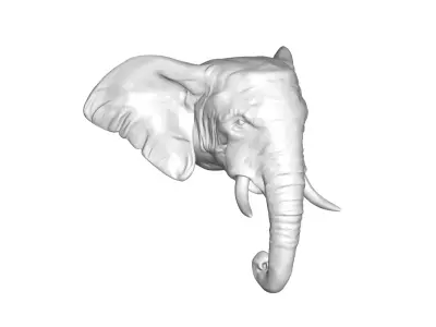 elephant head 3D model