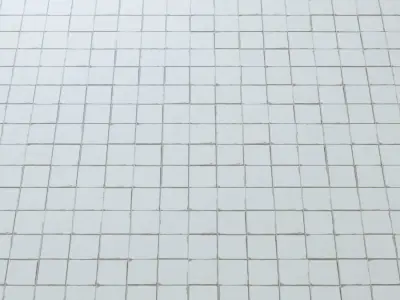 FS FAENZA  Tiles 3D model