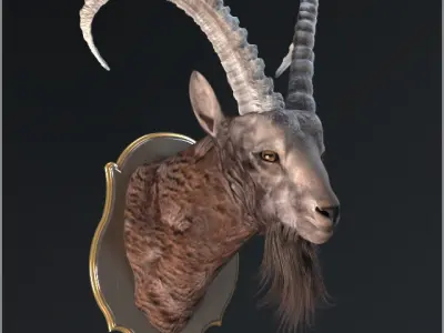 Goat trophy  3D model