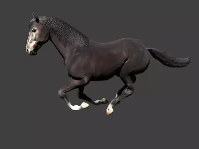 Black Stallion Realistic Running Animation Low-poly 3D model