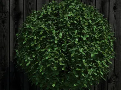 Plants collection 16 3D model purchase