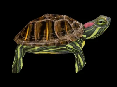 PSX Style Turtle Low-poly 3D model