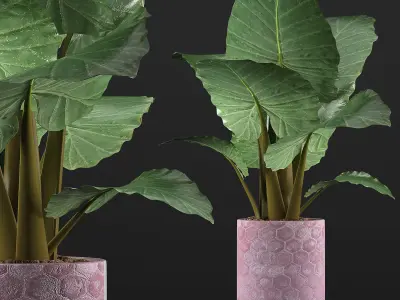 Plants Collection 82 3D model