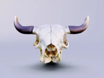 Cowboy cow skull with horns 3D model