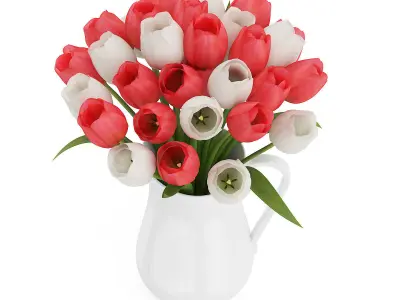 Red and White Tulips 3D model