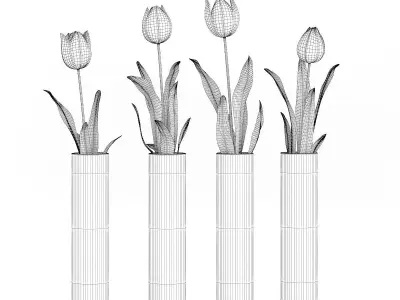 Four Tulips in Glasses 3D model