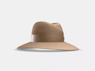 MAISON MICHEL VIRGINIE 3D model