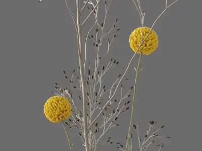 Decor Craspedia and candles Set 58 3D model