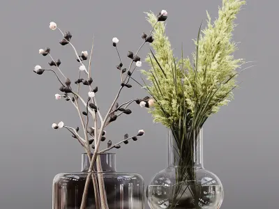 Collection Indoor Plants 03 3D model