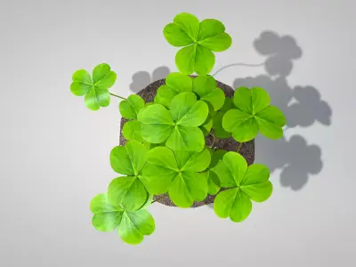 Plant Three-Leaf Clover 3D Model 3D model