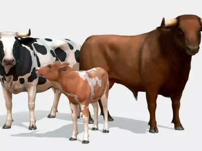 Cow family Low-poly 3D model