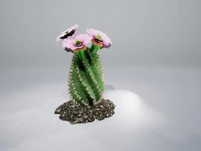 Spiral Cactus 3D model