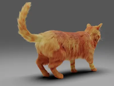 Fur Cat Yellow V3 NO Rigged  Low-poly 3D model
