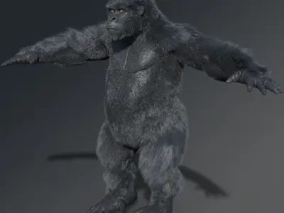 Gorilla rigged 3D model