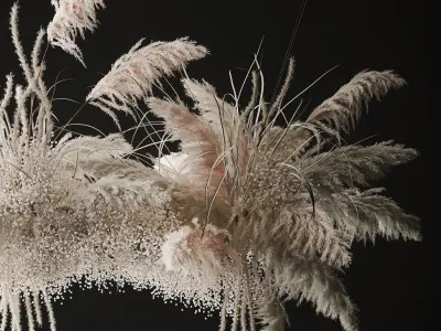 hanging decor of their dried pampas grass 237 3D model