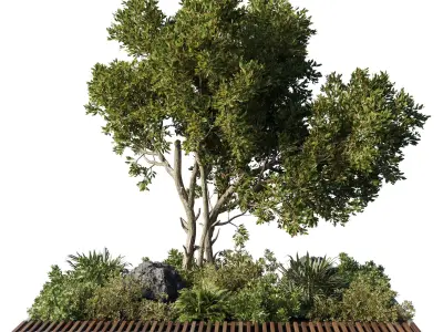 Concrete  Plants - set outdoor plants 199 3D model