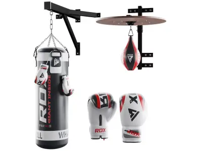 Boxing bag and gloves set from ROX Low-poly 3D model