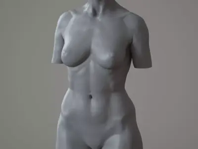 Female Torso - 3DPrintable model 3D print model